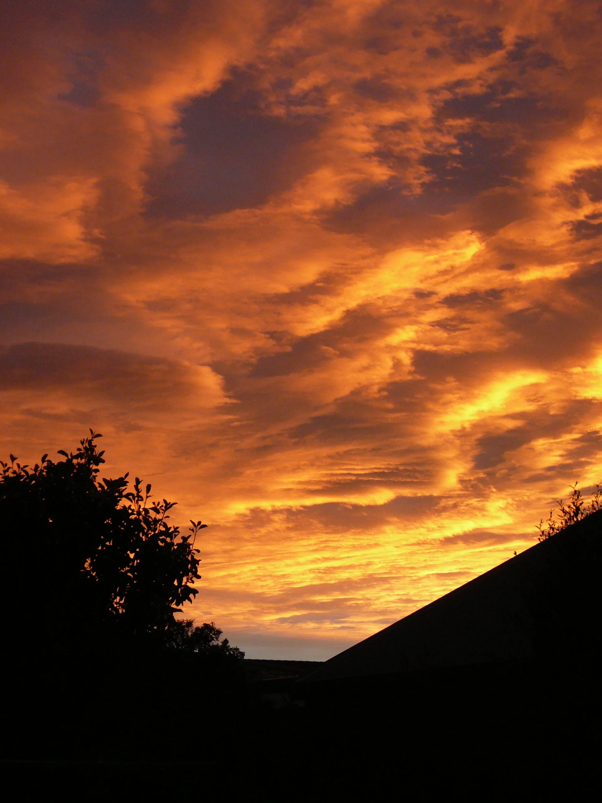 Business, Strategy and Performance