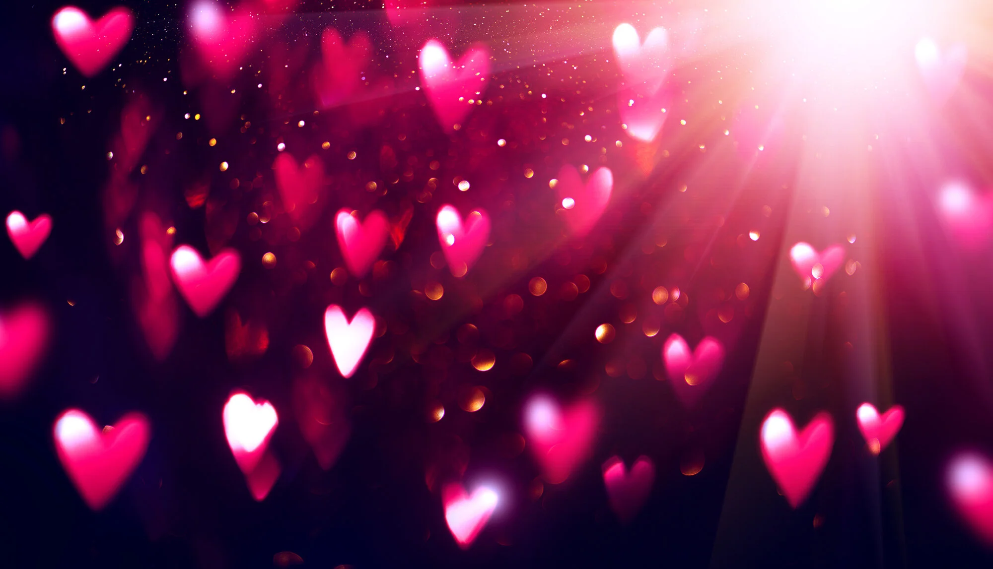 about-banner.jpg