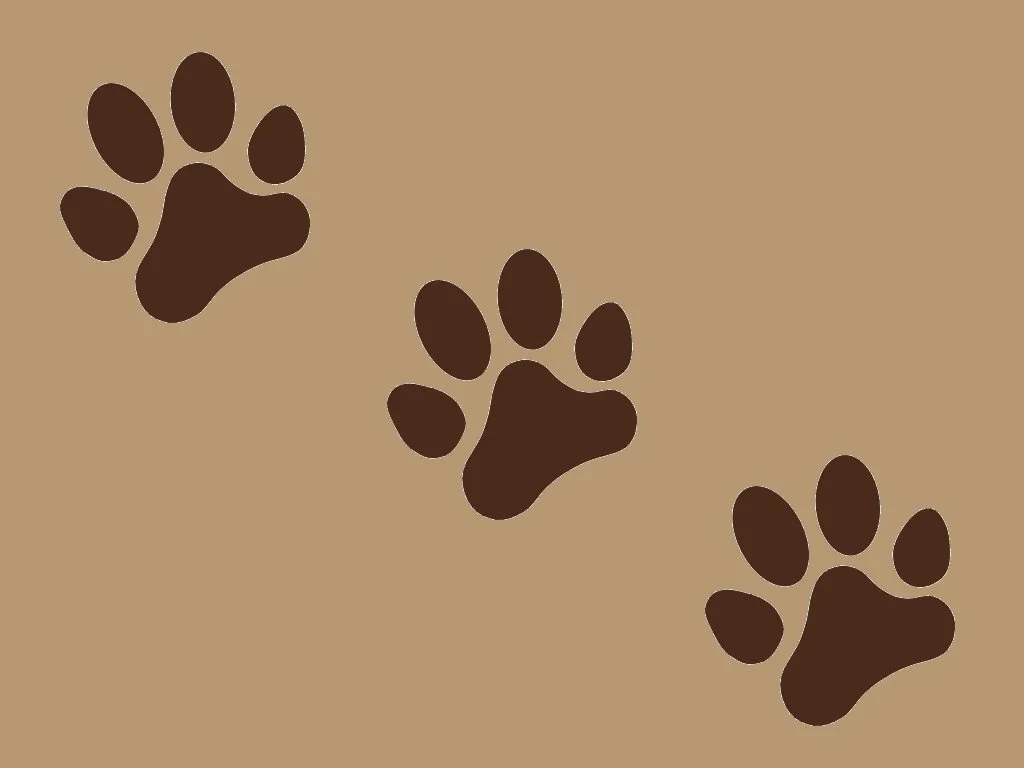 PAW print.JPG