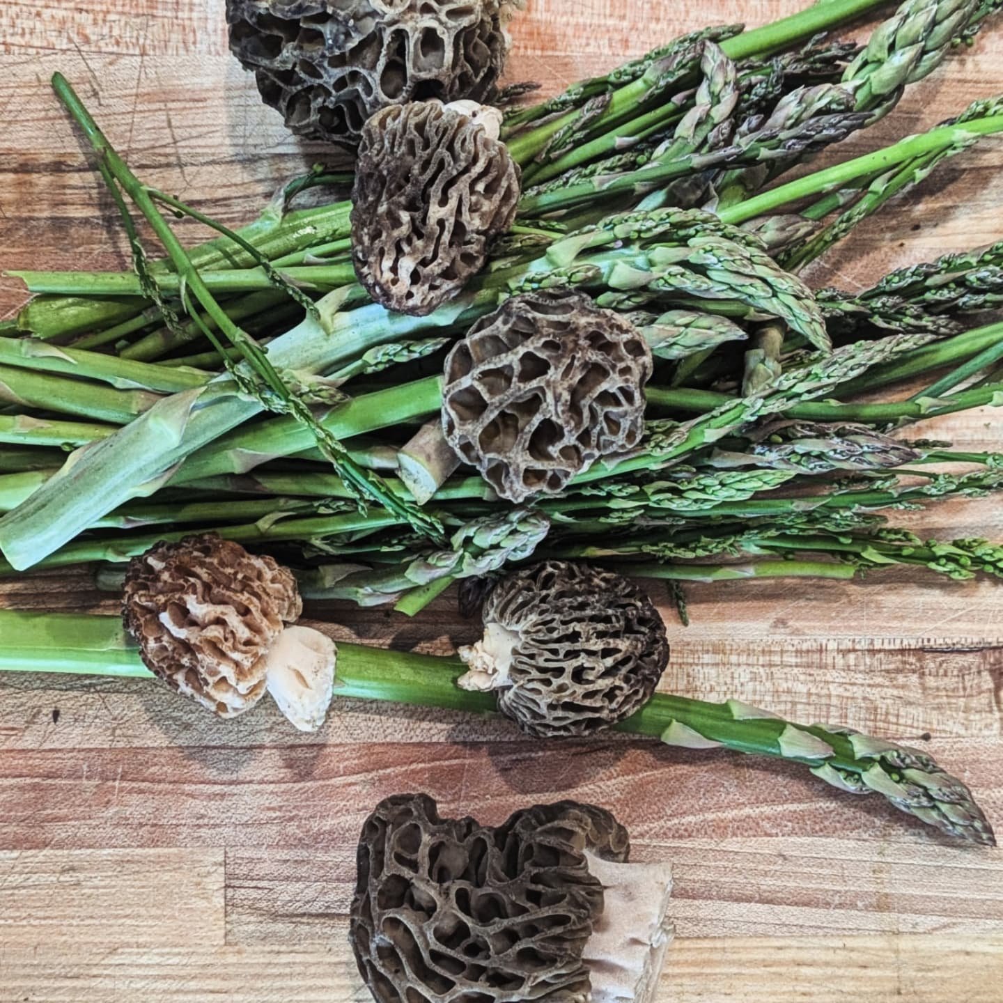 Got a beautiful bunch of wild 'spargus and morels in the kitchen right now. So that's the highlight of our weekend. Got anything to top that? 
.
.
#asparagus #morel #morchella #springharvest #eatlocal #slcrestaurants #utahrestaurants