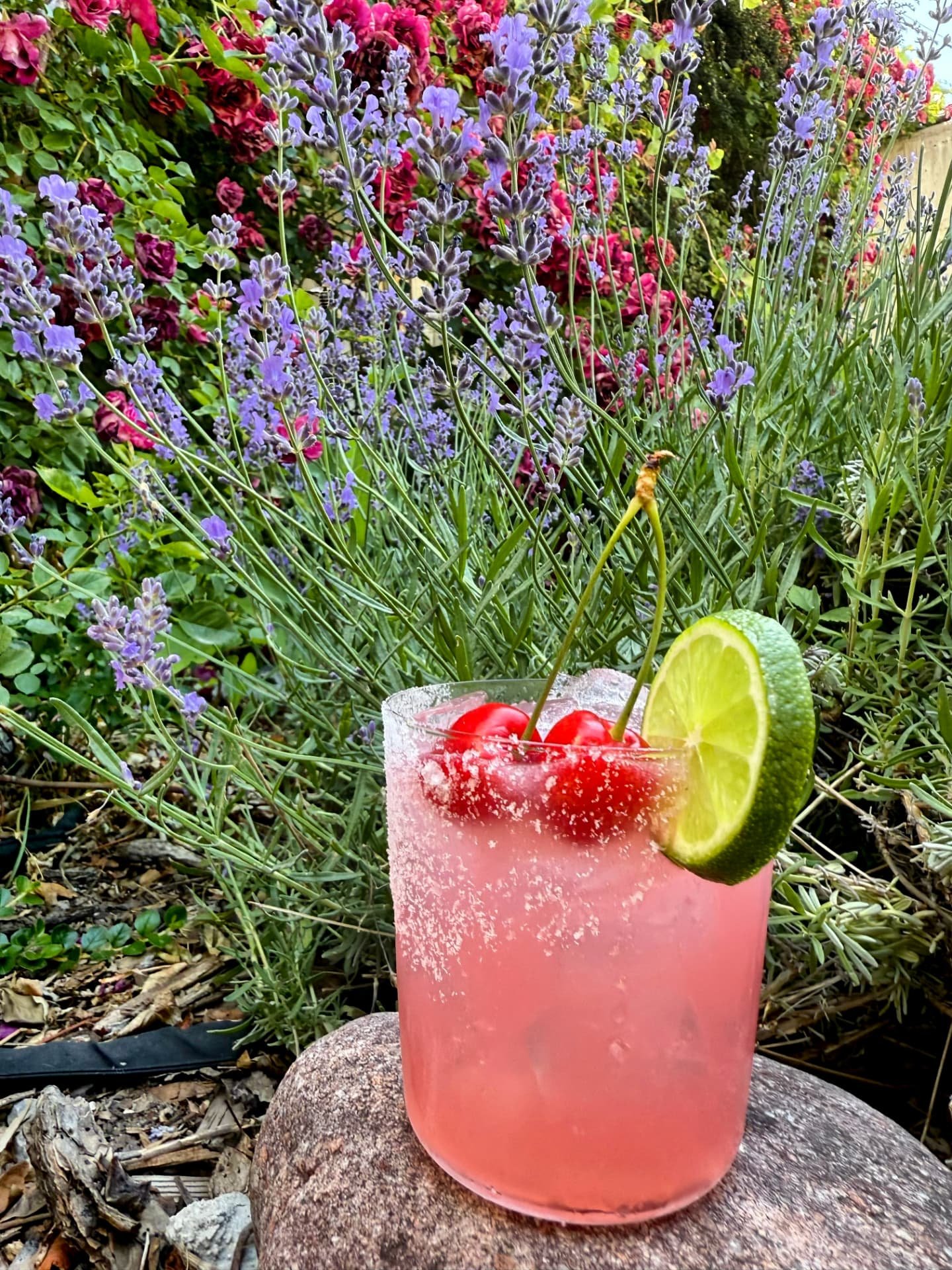 Weekend approaching! Adding some brunch beauties to your feed with the hopes of tempting you this direction for Sunday brunch. 
For your consideration: 
A bursting-with-summer-vibes cherry margarita made with locally picked cherries 🍒, 
Our crowd fa