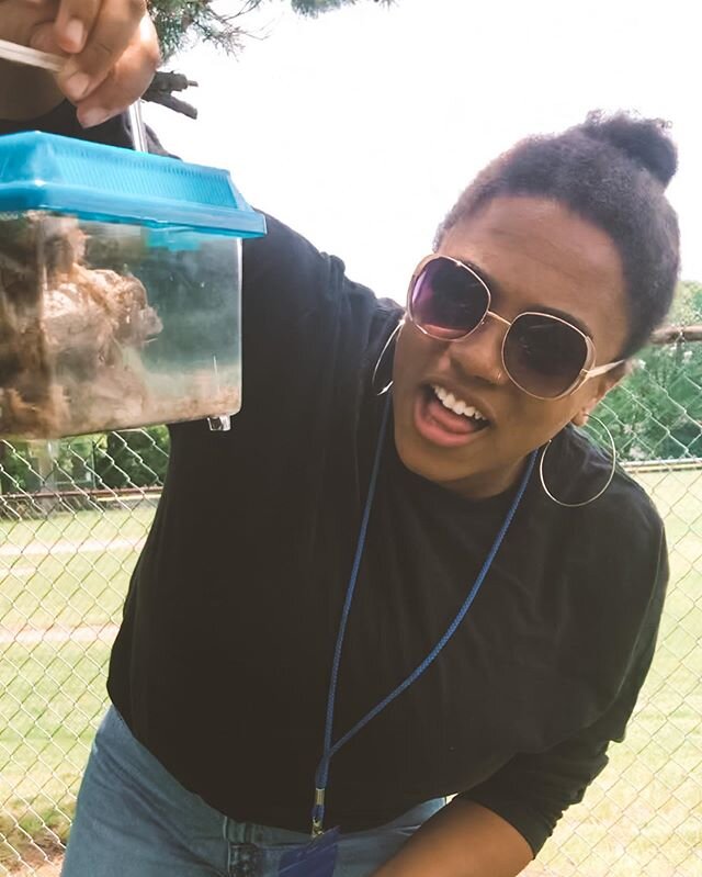 Context: I had just received my classroom geckos. I took my students on a community trip to get crickets at Petco. When we returned to school one of my students snapped this photo of me trying to put the LIVE crickets in the box. I SCREAMED, they SCR