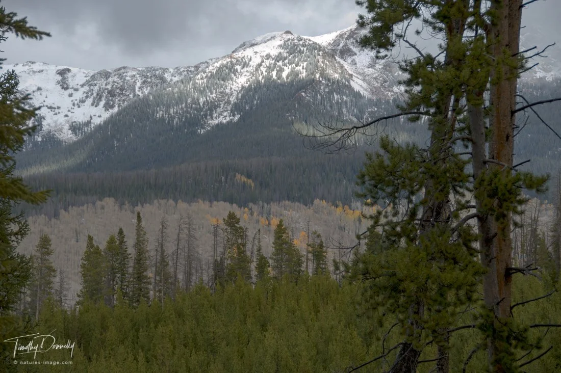 Colorado