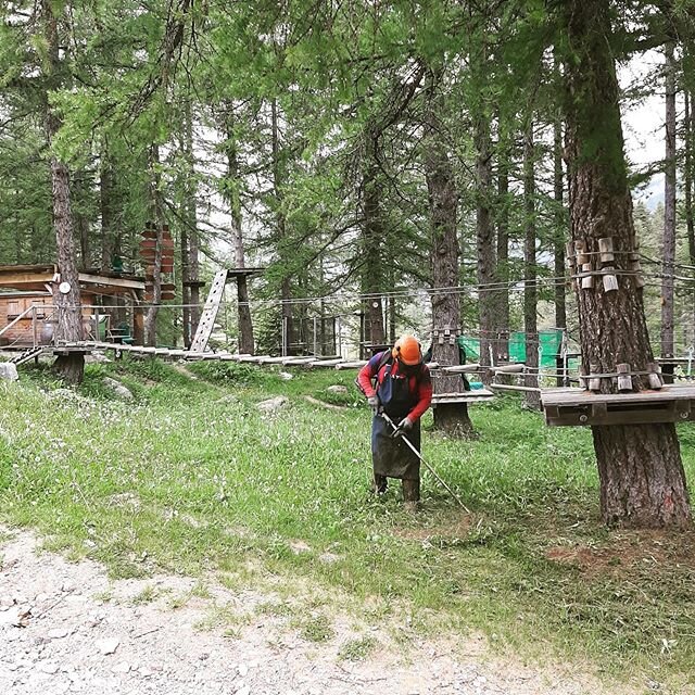 L&agrave; c&rsquo;est Jordi au boulot... il vous accompagnera tout l&rsquo;&eacute;t&eacute; &agrave; l&rsquo;Accro. Il fait du rab &agrave; la d&eacute;broussailleuse pour faciliter l&rsquo;acc&egrave;s sous les parcours. Il est pas top ce gars?! #a