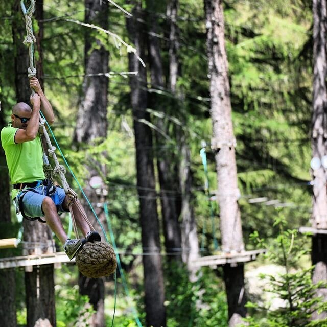 S&rsquo;&eacute;clater dans les arbres ce n&rsquo;est pas r&eacute;serv&eacute; aux enfants!!
#accrodesmerveilles #casterino