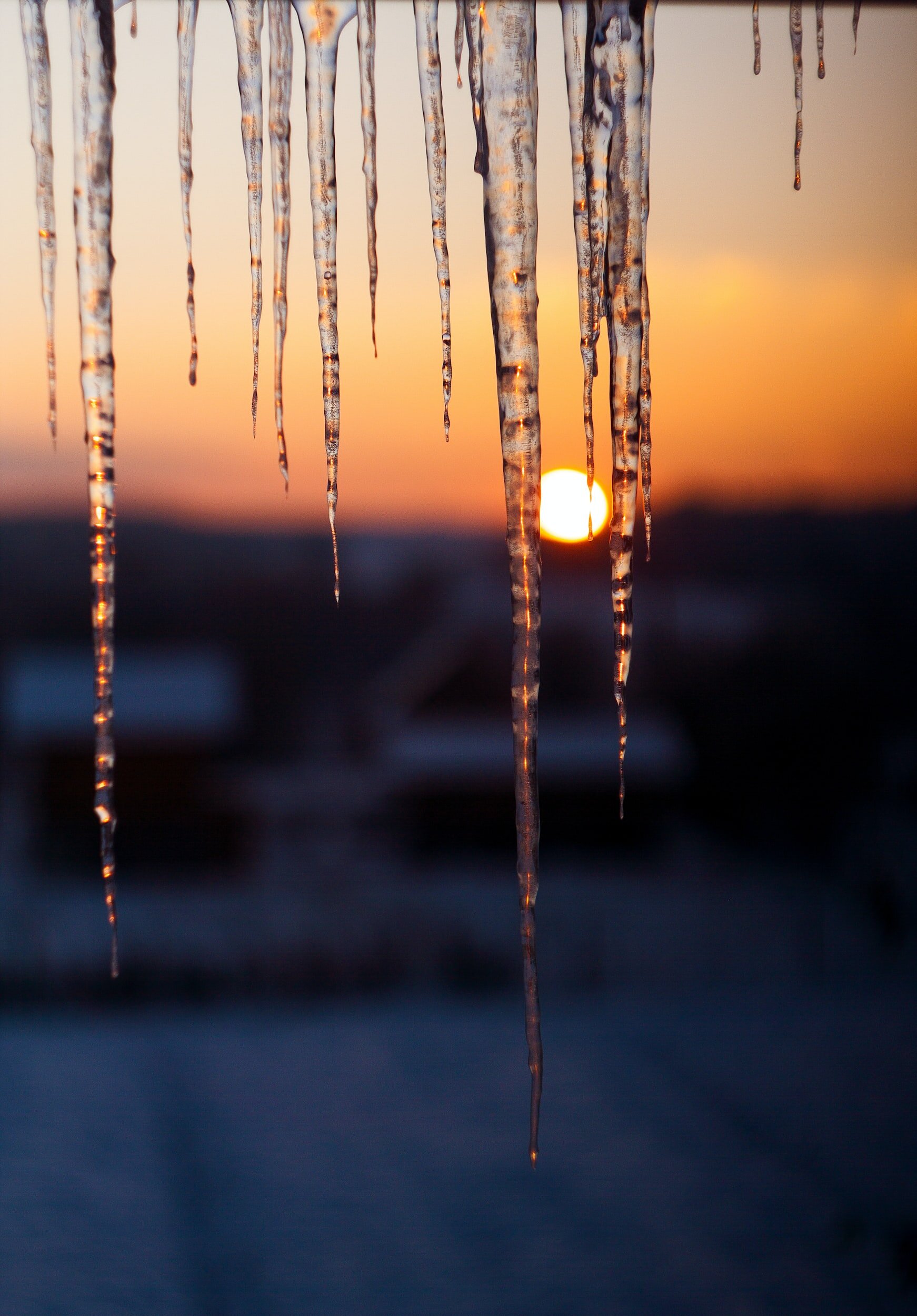 Winter Solstice Workshop