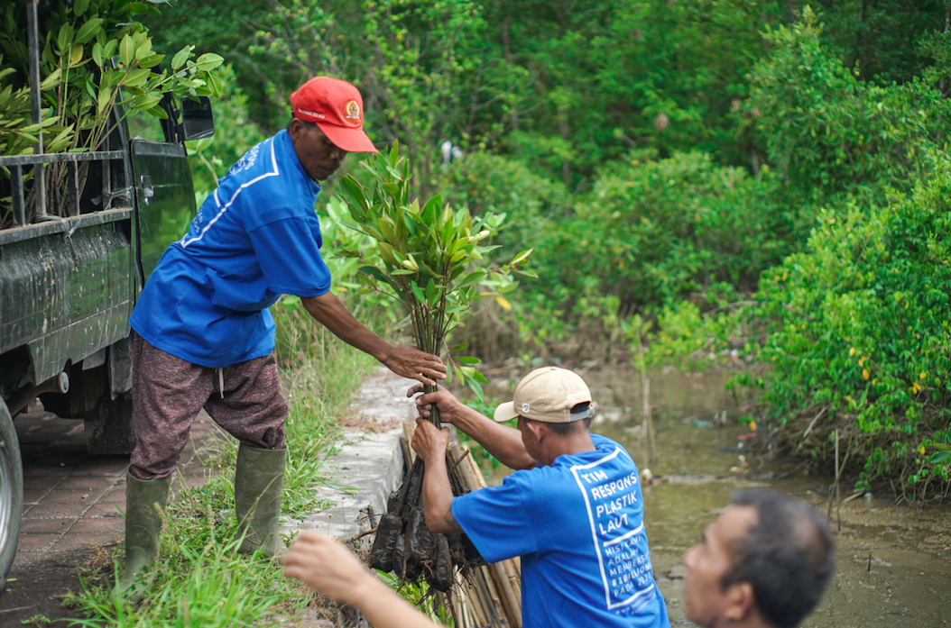 Indonesia Mangrove Restoration.png