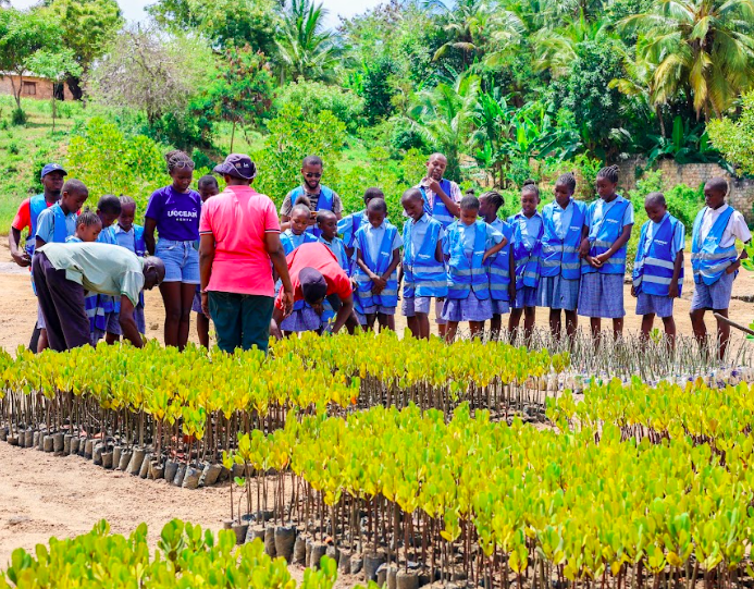 Screenshot 2025-12-08 at 12.37.27.png