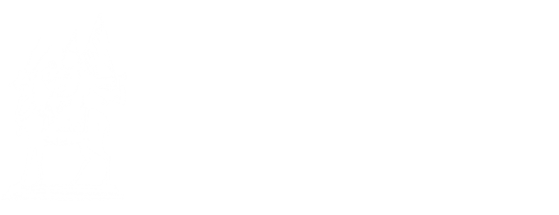 The Vayyu Foundation