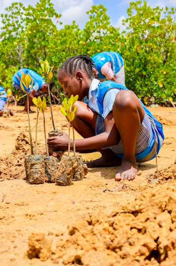 Screenshot 2025-12-08 at 12.37.42.png