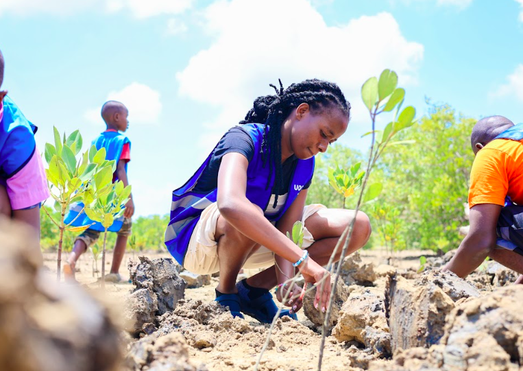 Screenshot 2025-12-08 at 13.02.32.png