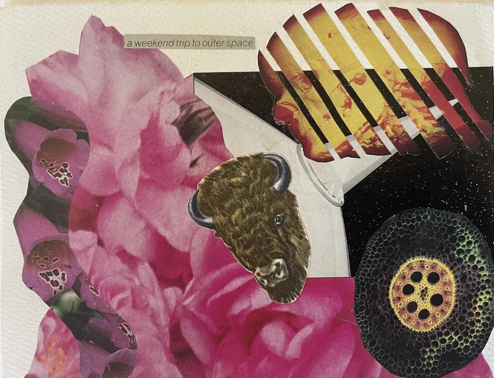  A collage by Kara Stokowski 