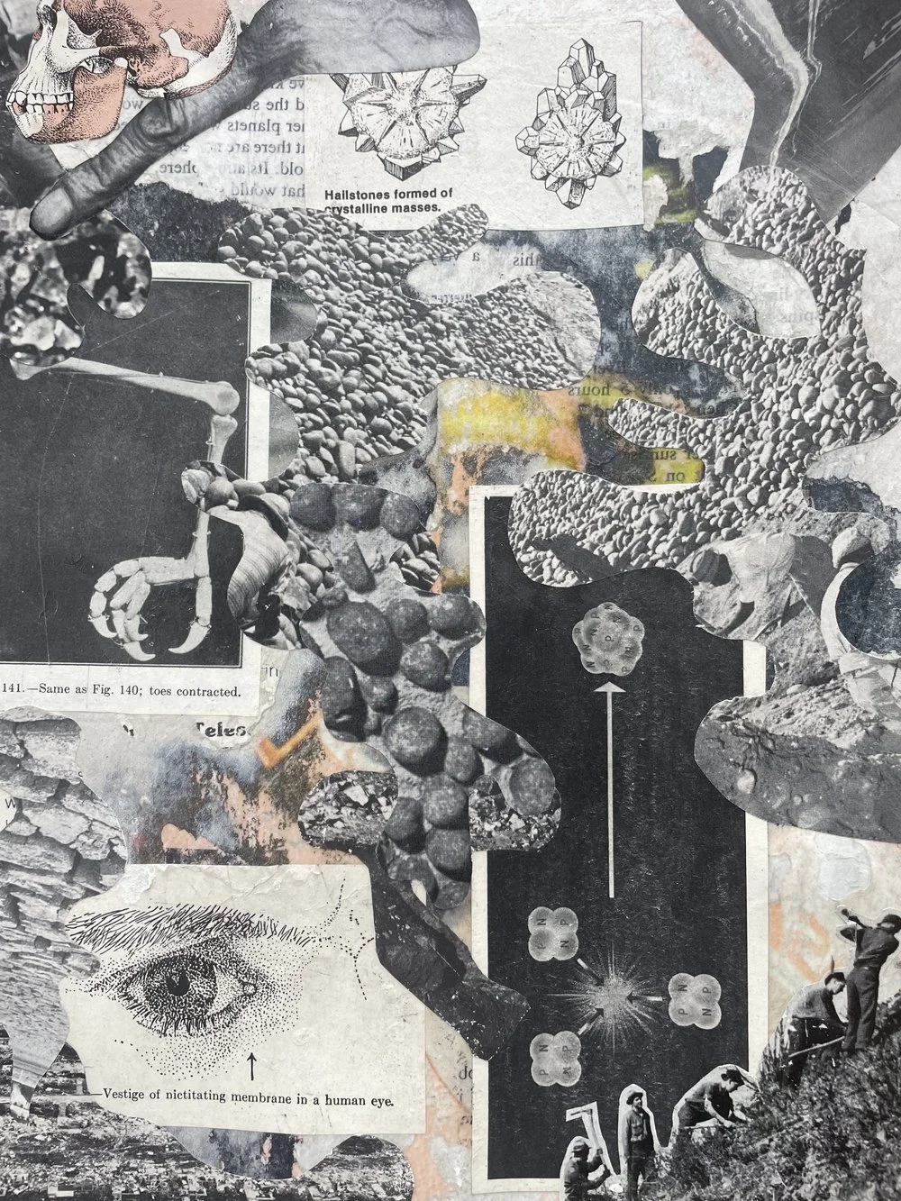  A collage by Kara Stokowski 