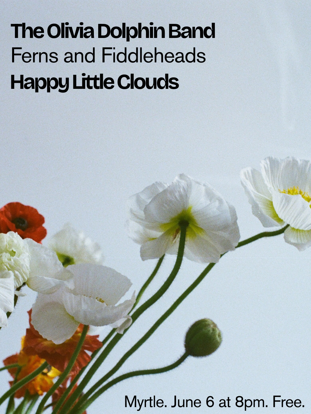 The Olivia Dolphin Band / Ferns and Fiddleheads / Happy Little Clouds