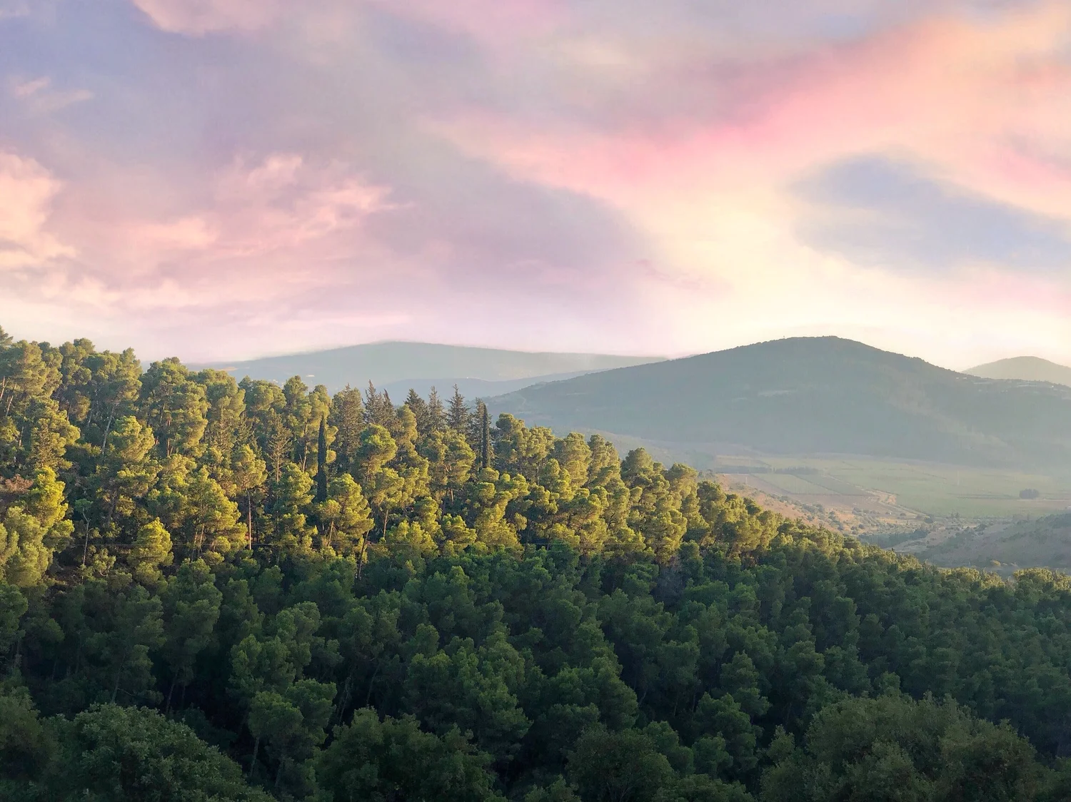 Mountaineer Community Health Center