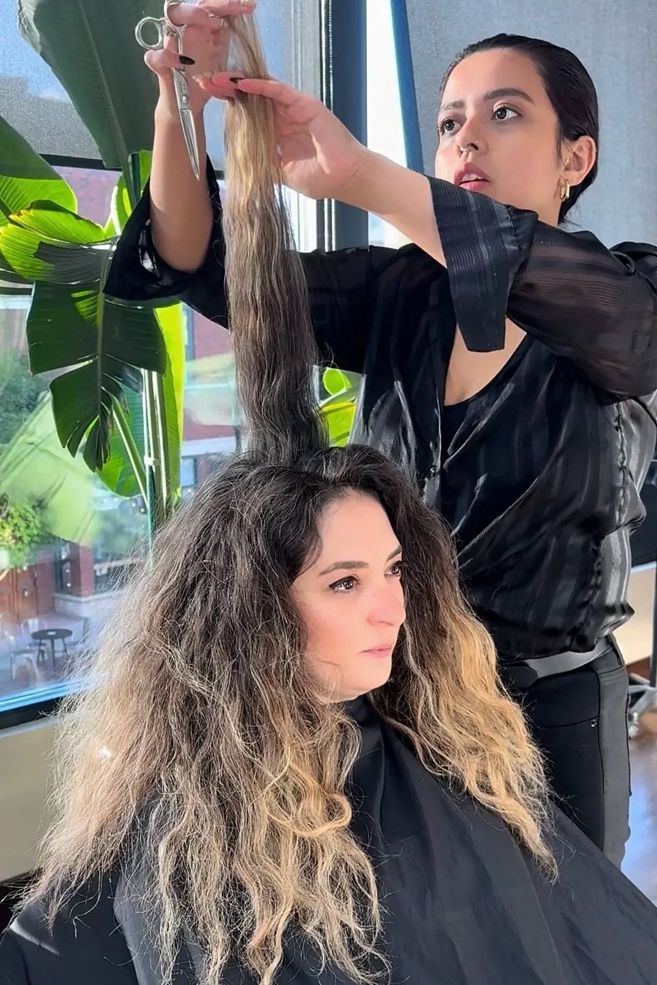 Curly Dry Cut
