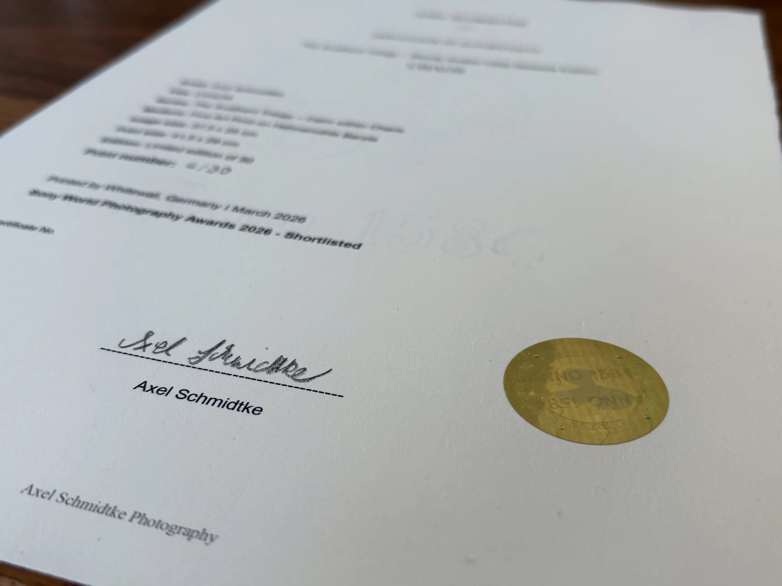 THE HOLOGRAM SECURITY SYSTEM