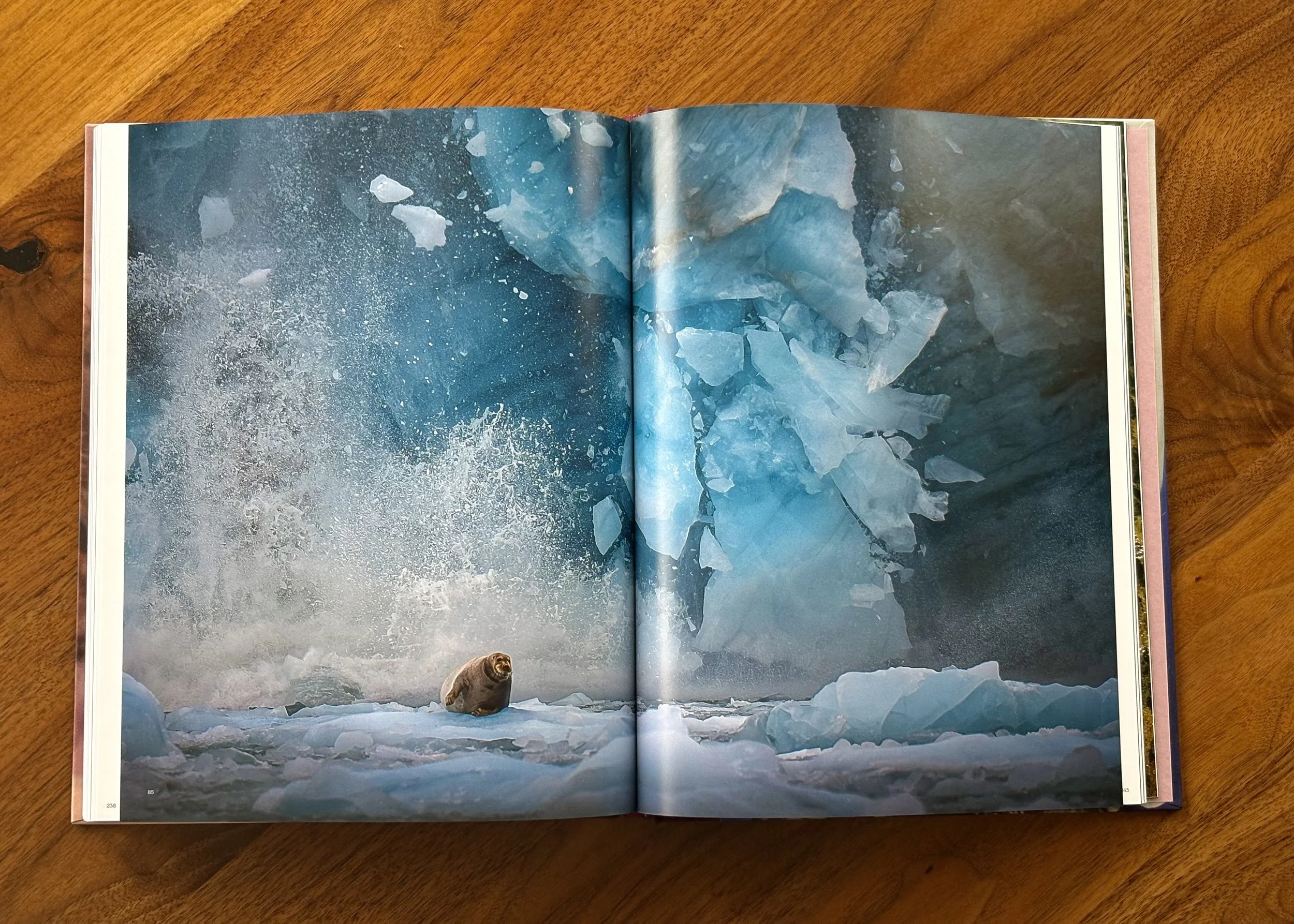 axel-schmidtke-chaos-swpa-annual-book-2026