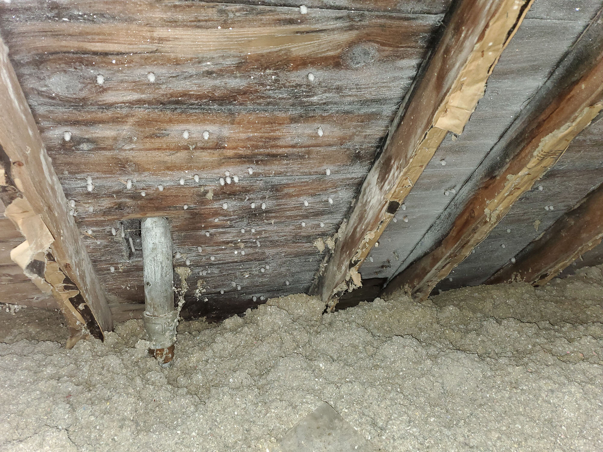 Condensation In The Attic Rooftop