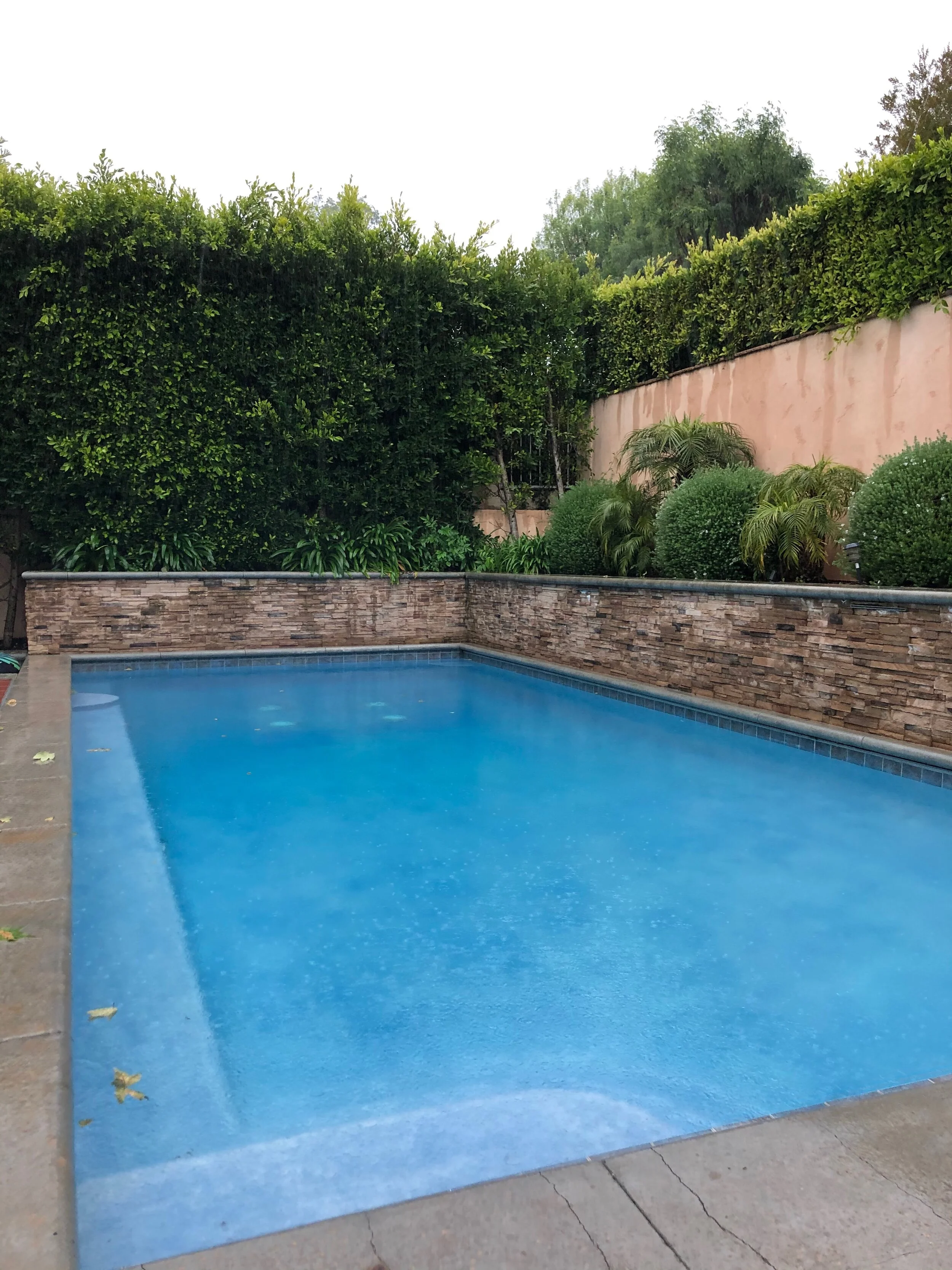 Salt pool and spa combo with automatic cover and system slightly lower