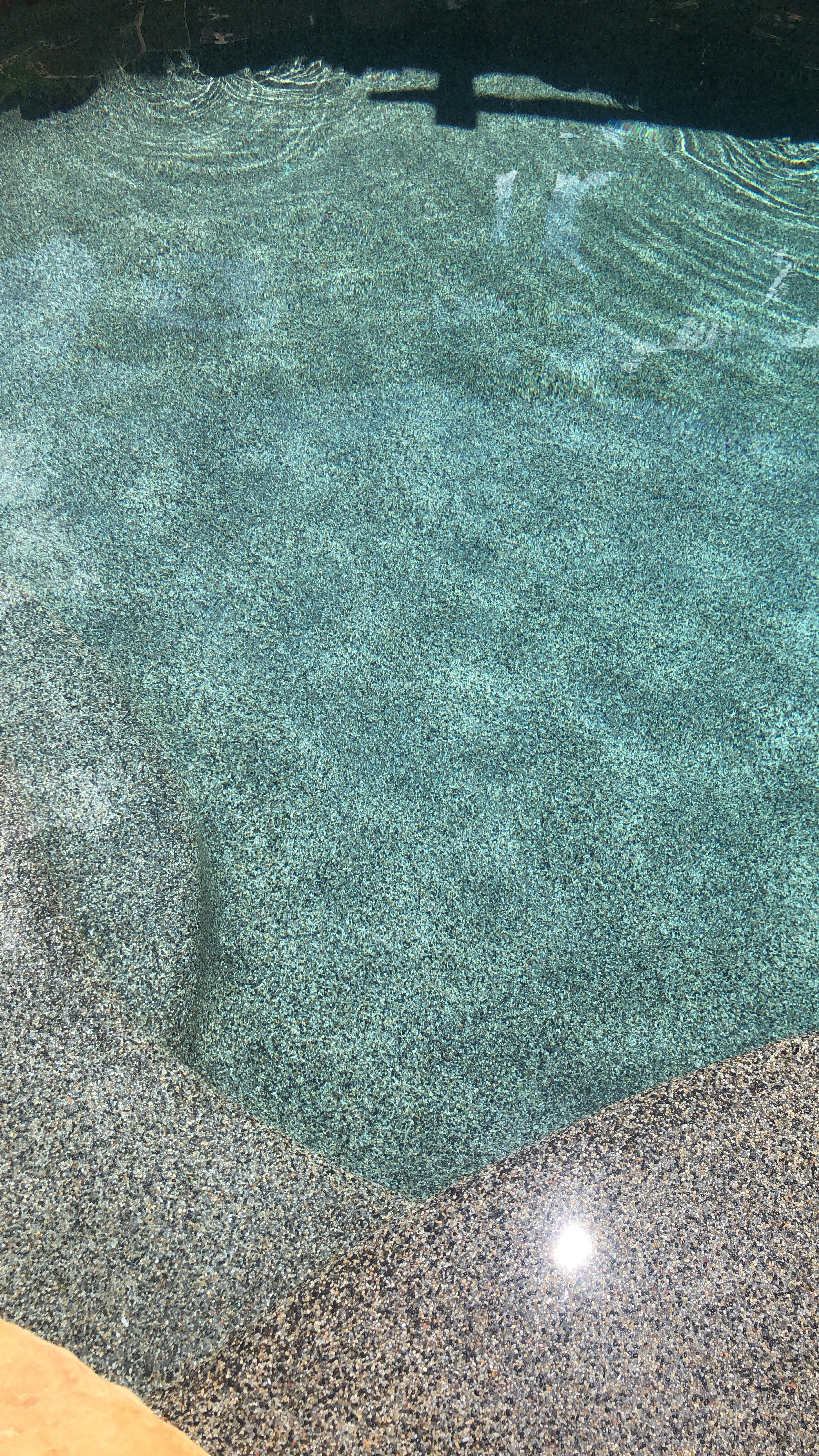 Salt water pool with borates 