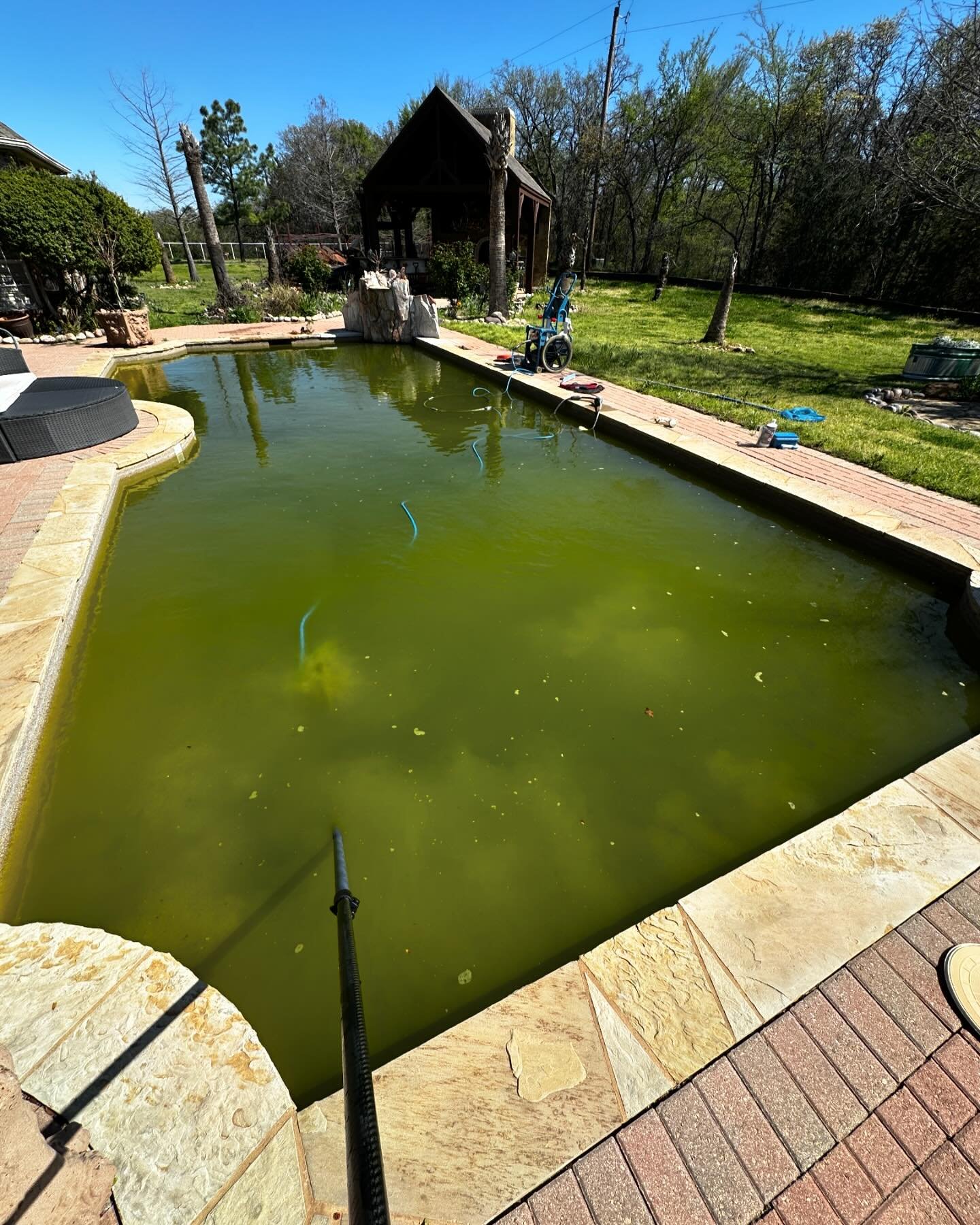 Picking up green to cleans like M&amp;M&rsquo;s #poolday #summer
