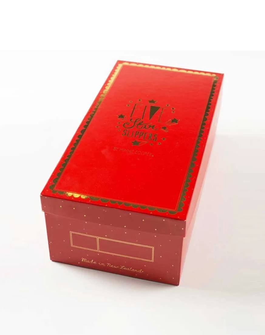 five_star_slippers_shoebox_10.jpg