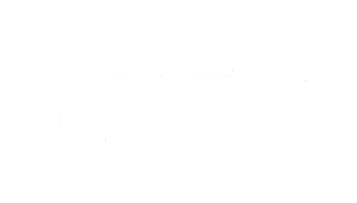 Shannon Litzenberger 