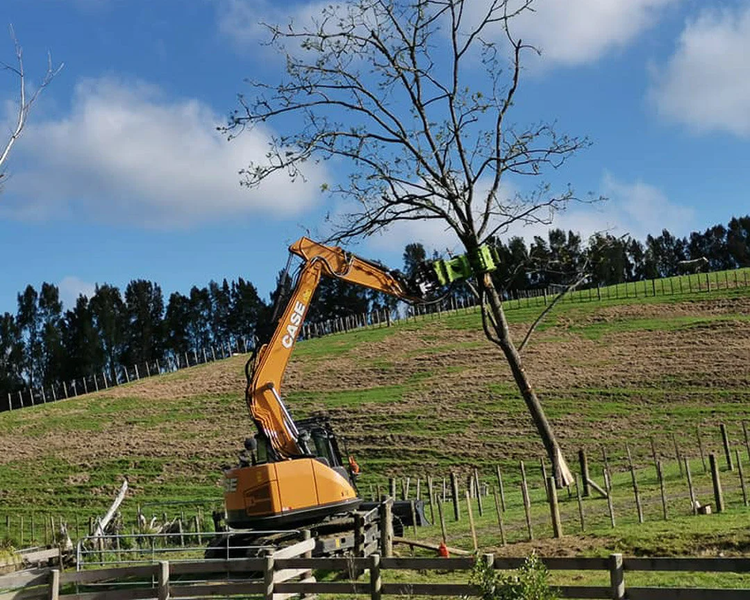 excavator pulling out tree with rotating grabber
