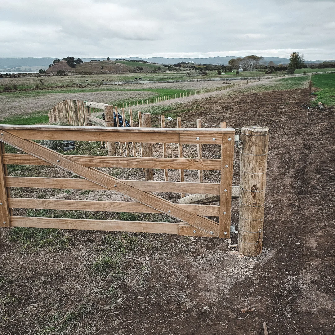 wooden gate in horse paddock