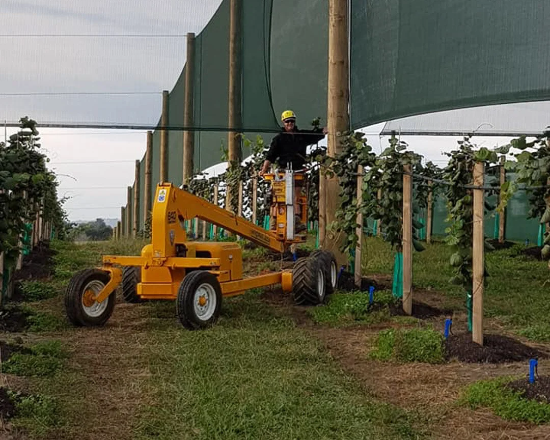 hydralada in kiwifruit orchard