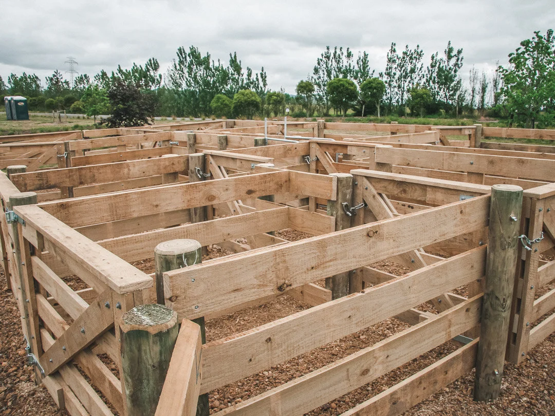 Showgrounds Sheep yards 1 (2)-4.jpg