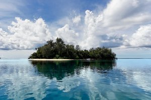 island.jpg