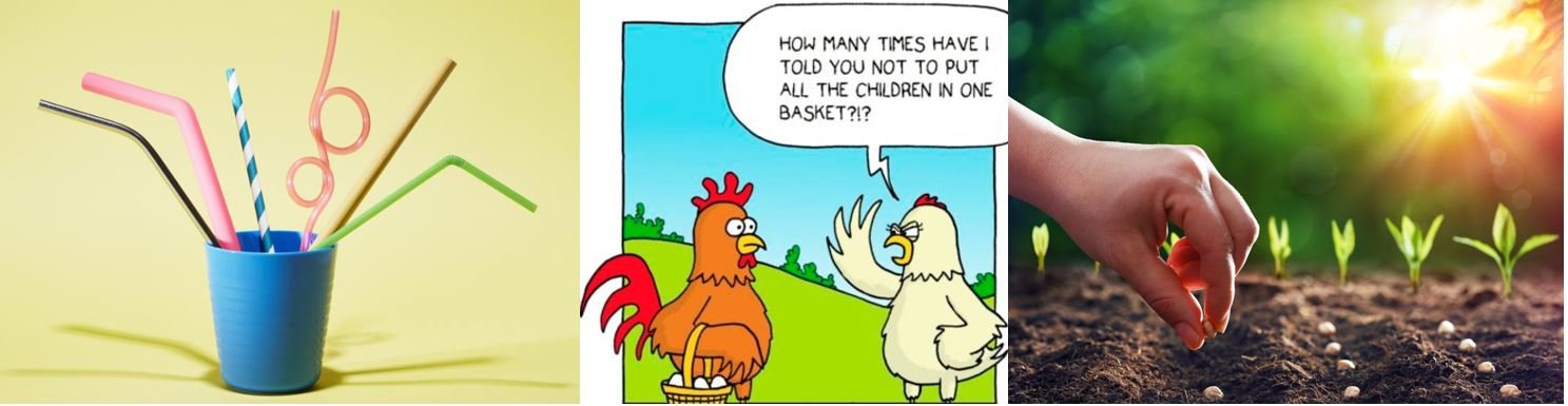 Financial Planning 07.02.24 - Diversification, Sow the seeds