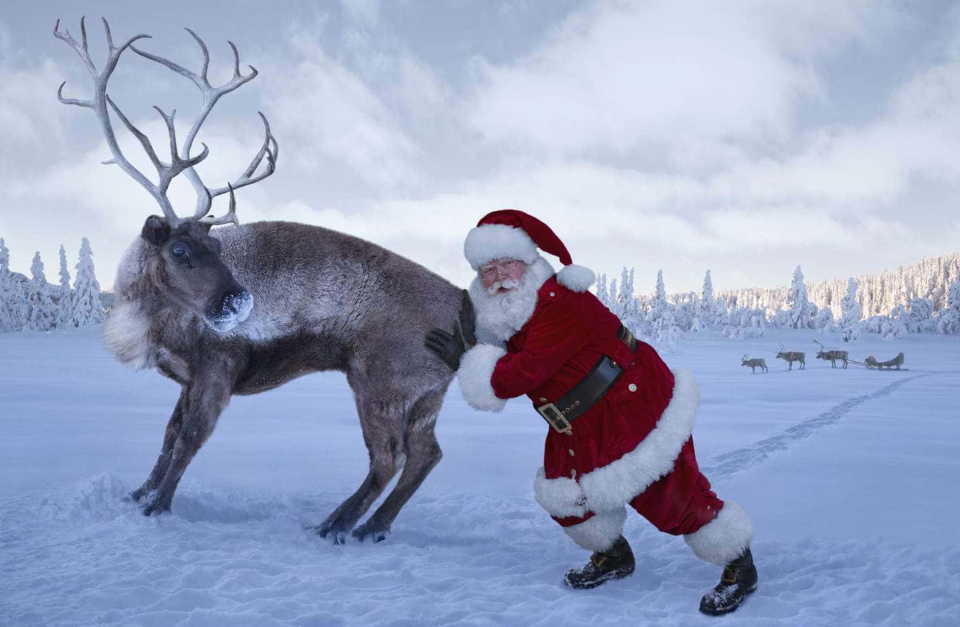 Weekly Market Update - 19.12.2025