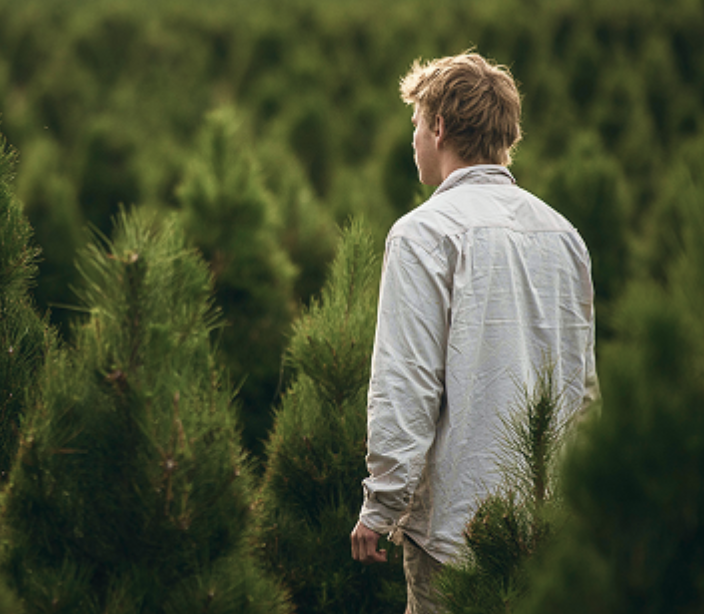 Screenshot 2025-12-04 at 12.38.17 pm.png