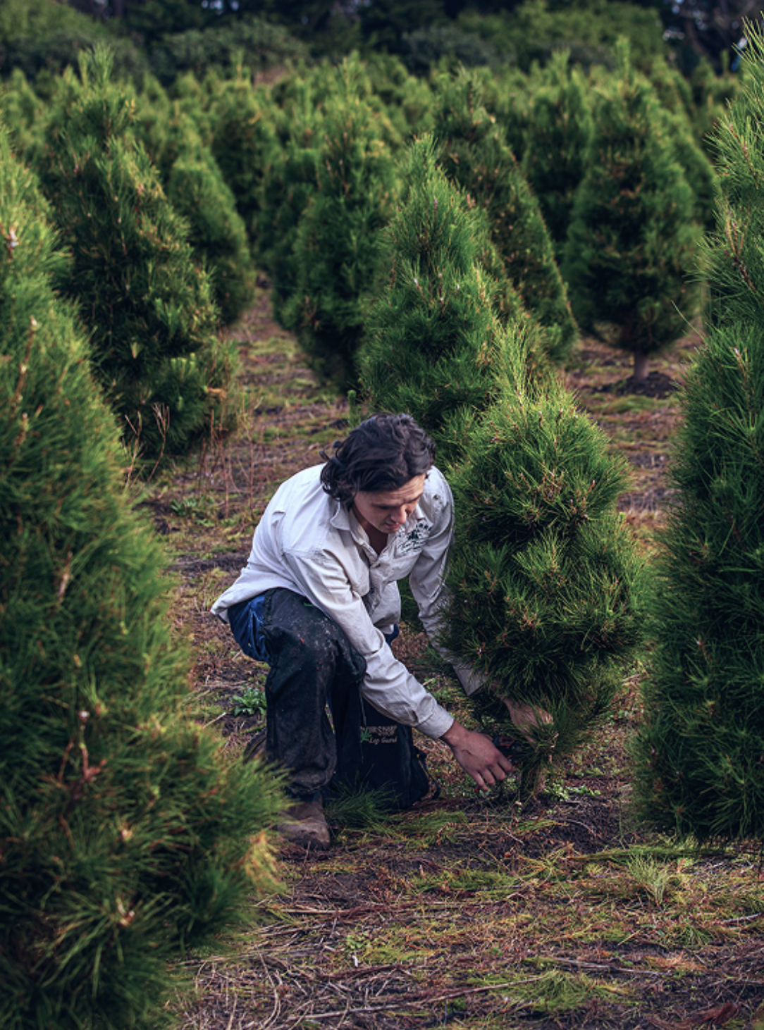 Screenshot 2025-12-04 at 12.40.12 pm.png