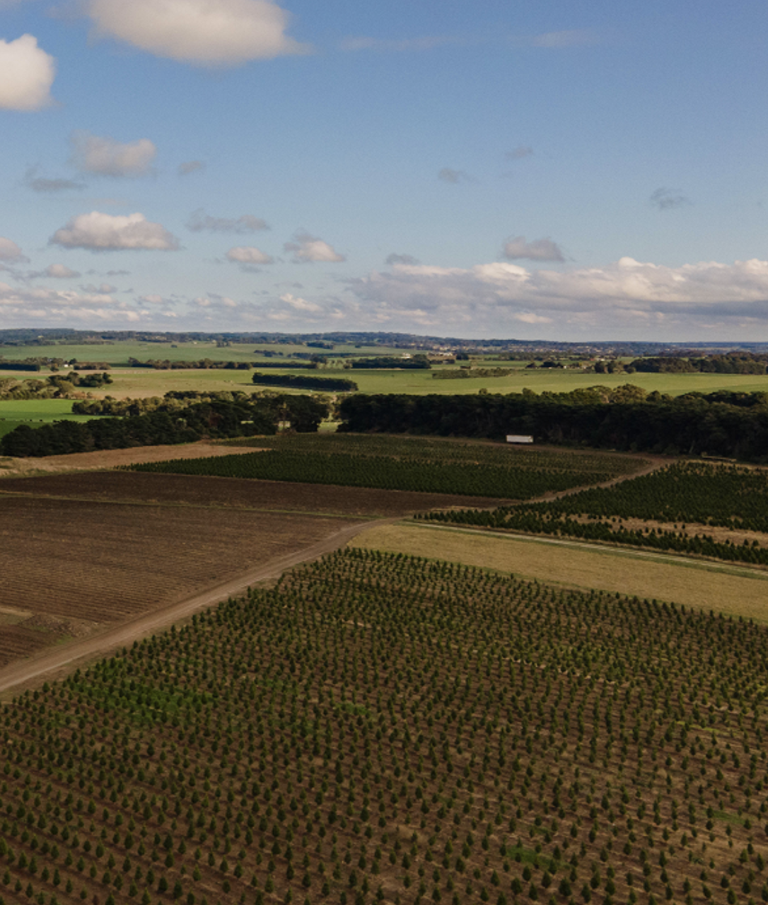 Screenshot 2025-12-04 at 12.39.24 pm.png