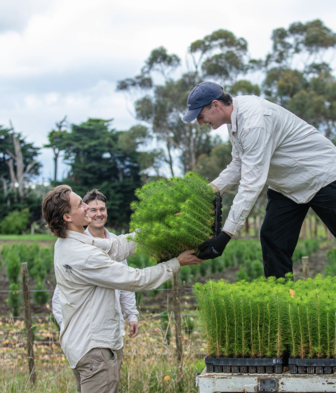 Screenshot 2025-12-04 at 12.39.33 pm.png