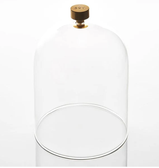 Glass Cloche with Brass metal handle