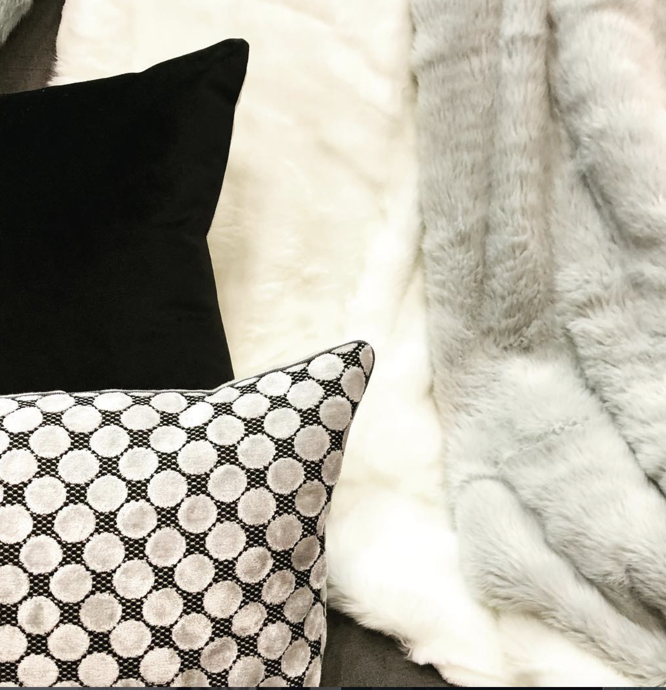 Screenshot 2026-02-19 at 12.44.27 pm.png