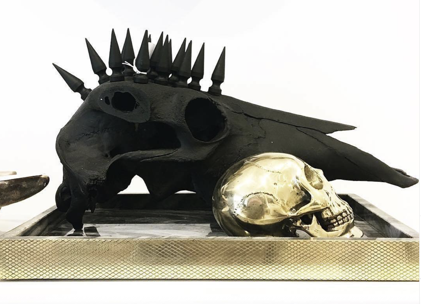 Screenshot 2026-02-19 at 1.13.22 pm.png