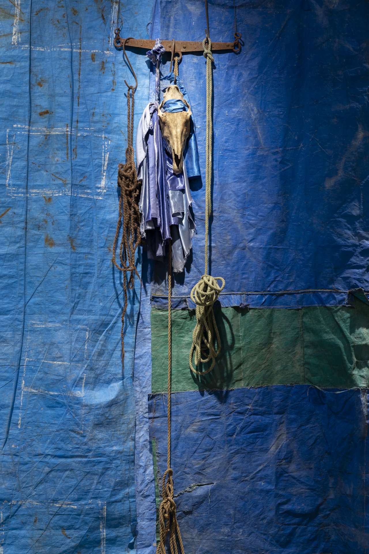 3_2025_FASHER_Shy veil_023_sm.jpg