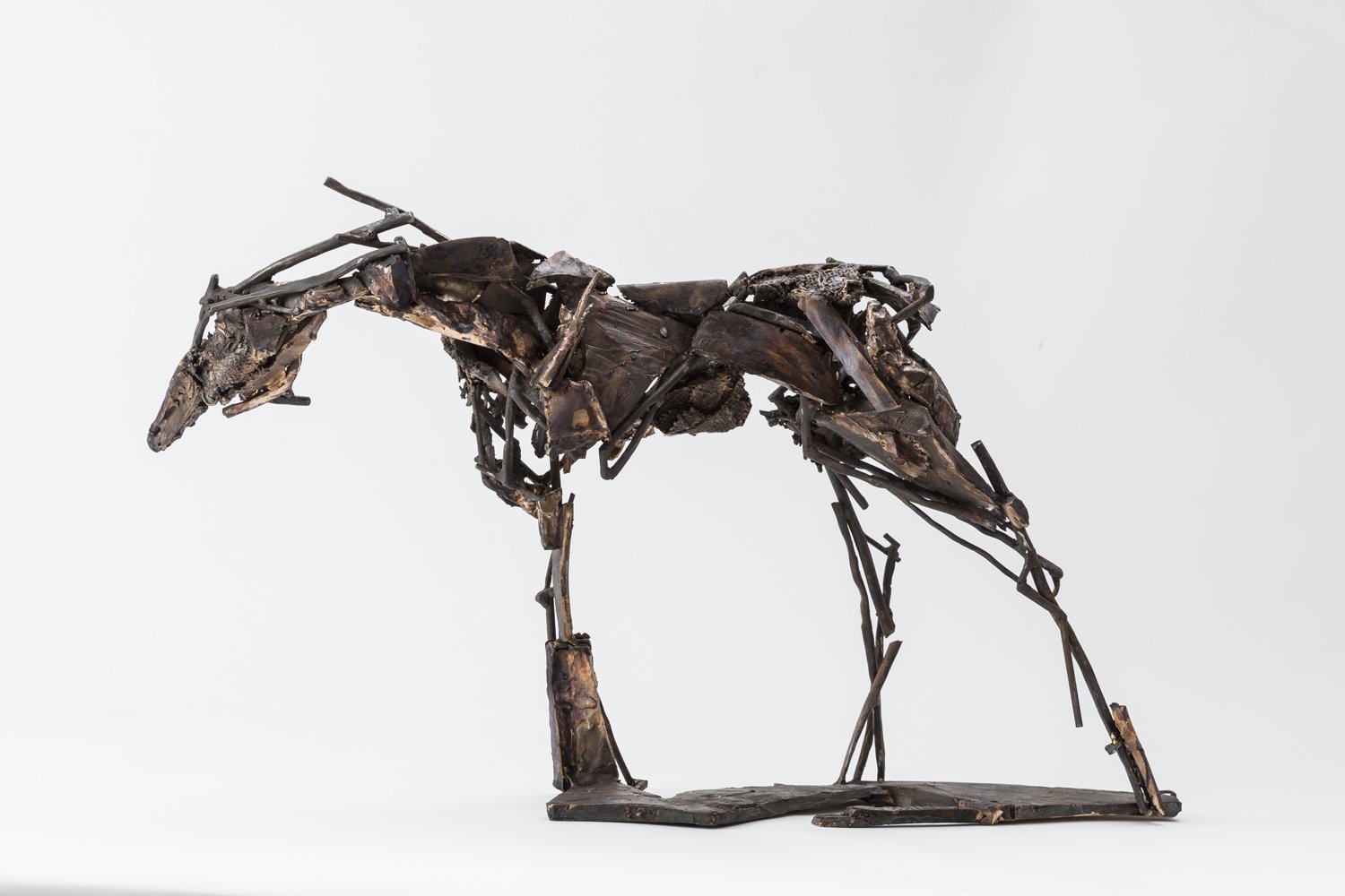 2018-FASHER_Untitled : Equine study in bronze_bronze and forged steel_32x54x15.5cm_073.jpg