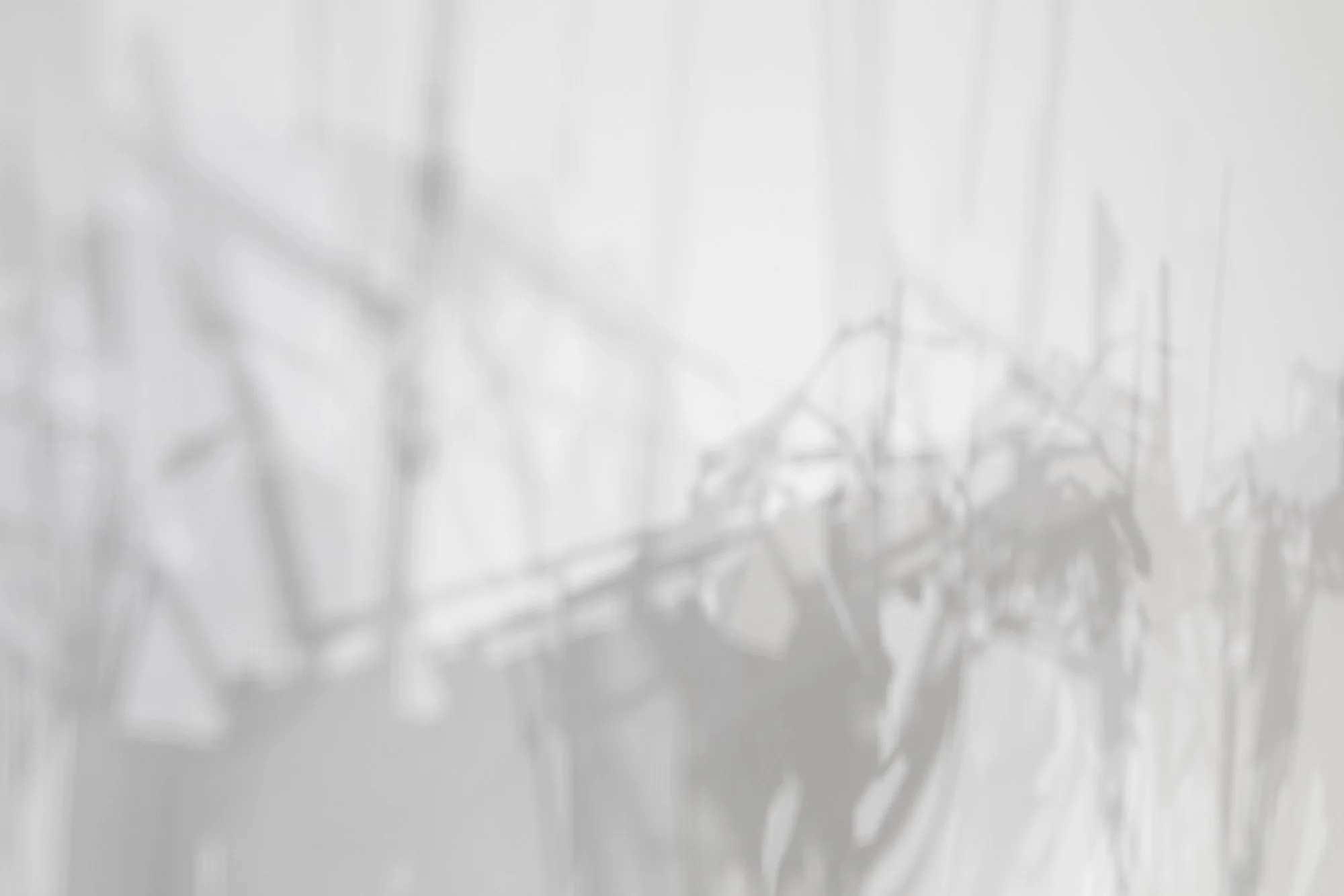 FASHER_LAST CHARGE_silversalt_004.jpg