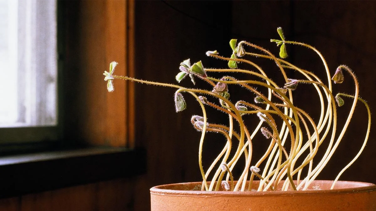 Great sustainability “hardware” is nothing without the right “software”: PEOPLE
