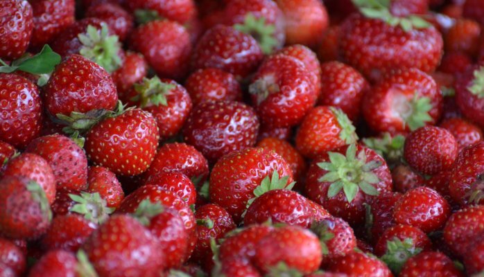 Beyond why: The how of purpose