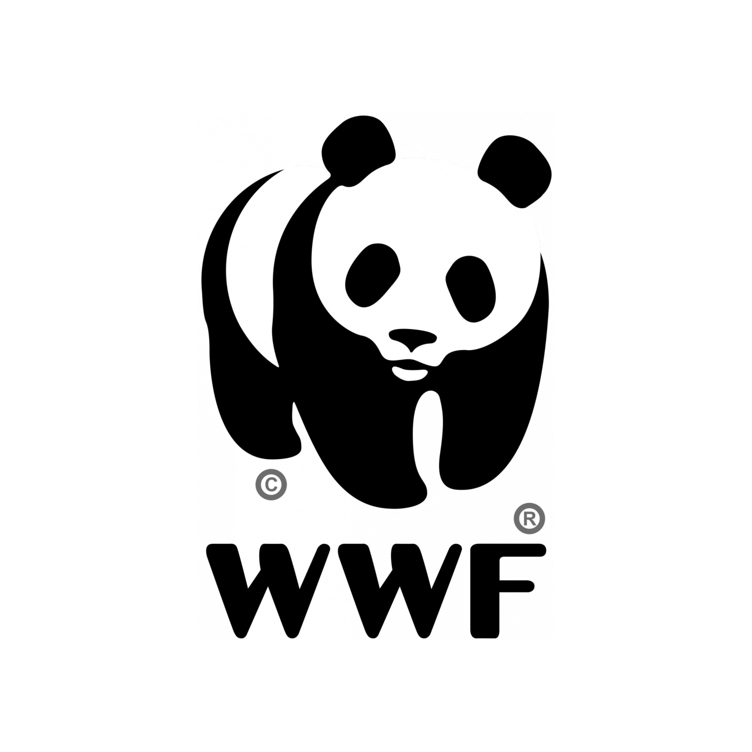 16 WWF.jpg