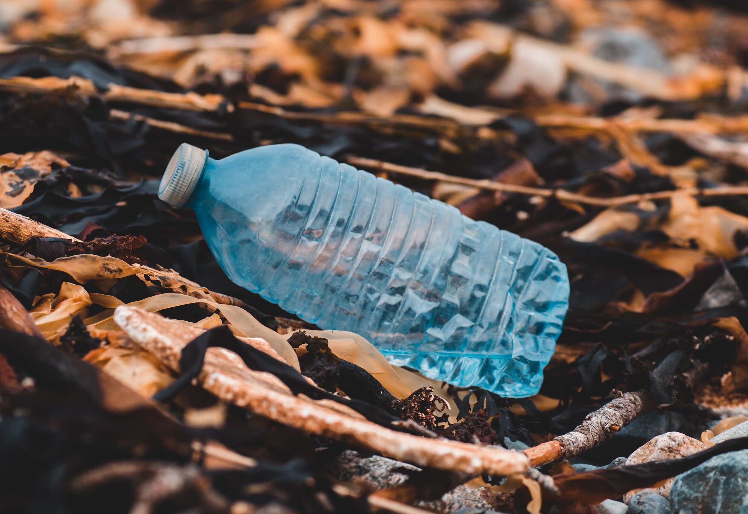 “The Future of Plastics” Webinar: Key Takeaways