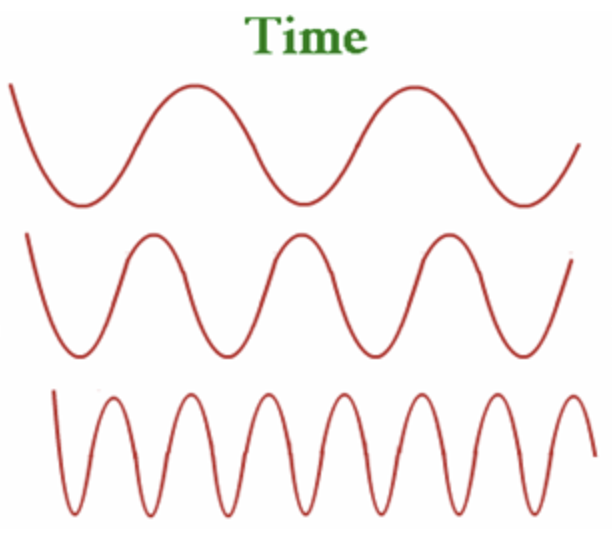 The Cycles